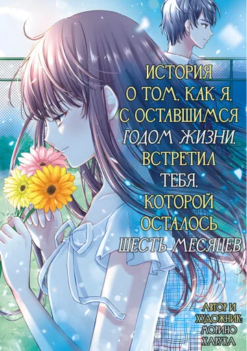 История о том, как я, с оставшимся годом жизни, встретил тебя, у которой осталось шесть месяцев.