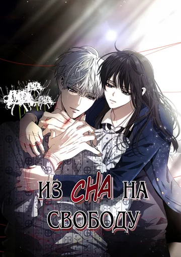 Из сна на свободу