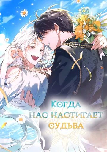Обложка Когда нас настигает судьба